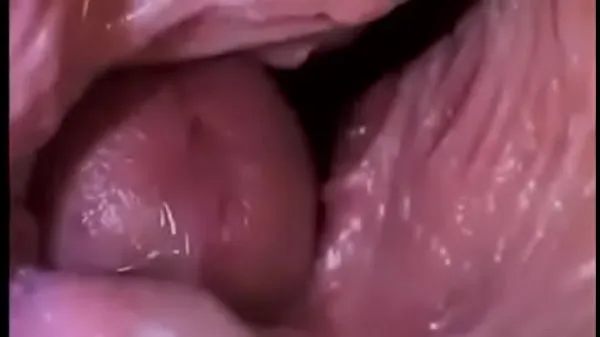 XXX Dick Inside a Vagina top Clips
