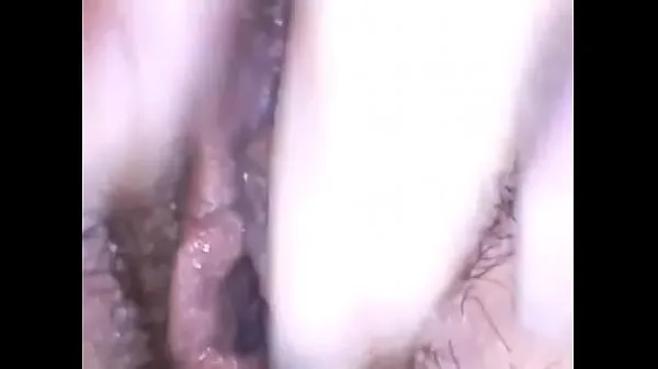 XXX 用医用内窥镜探索美丽的毛茸茸猫 热门片段