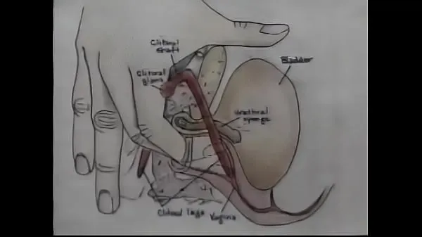 XXX Vídeo de treinamento de orgasmo para educação sexual principais clipes